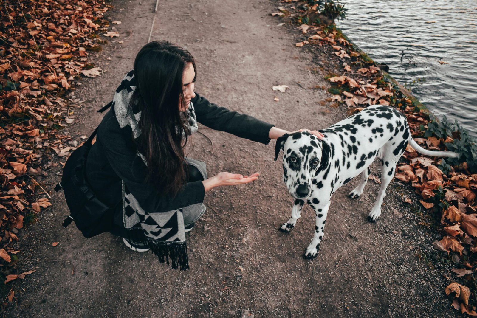 A woman interacts with a Dalmatian dog on an autumn pathway by a lake.
